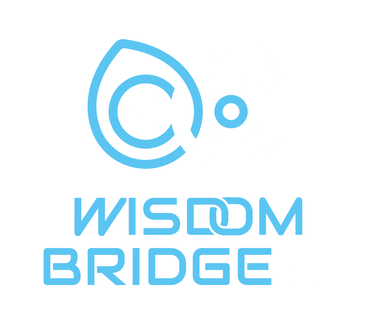 Wisdom Bridge AI